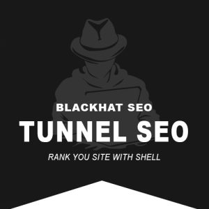 tunnelseo-webshell